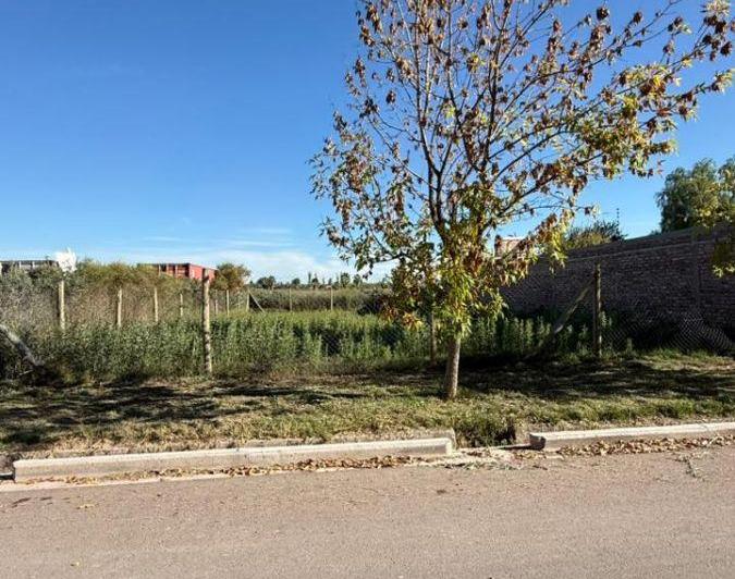 Terreno · 434m²