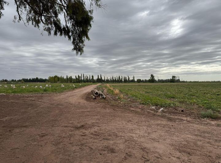 Campo · 30ha · 9 Ambientes · 4 Cocheras