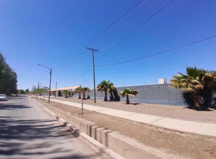 Terreno · 300m²