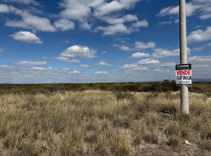Campo · 288000m²