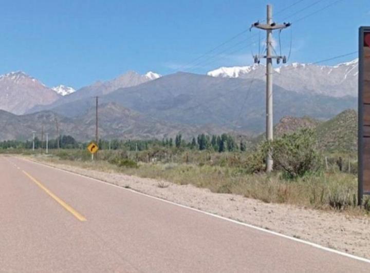 Campo · 220ha