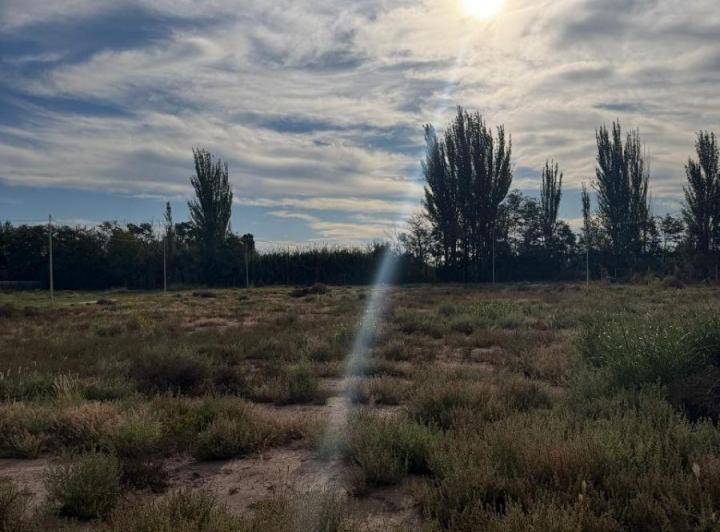 Terreno · 250m²