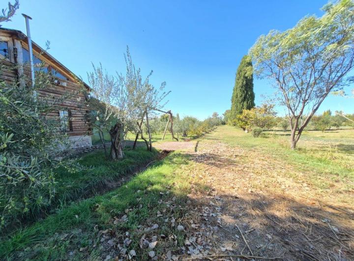 Campo · 4ha