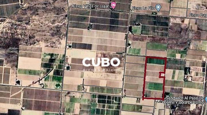 Campo · 250m²