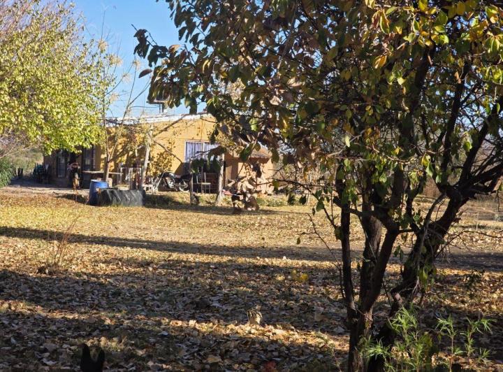 Campo · 200m²