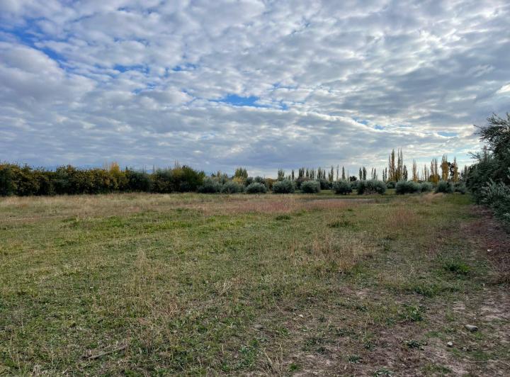 Campo · 32535ha