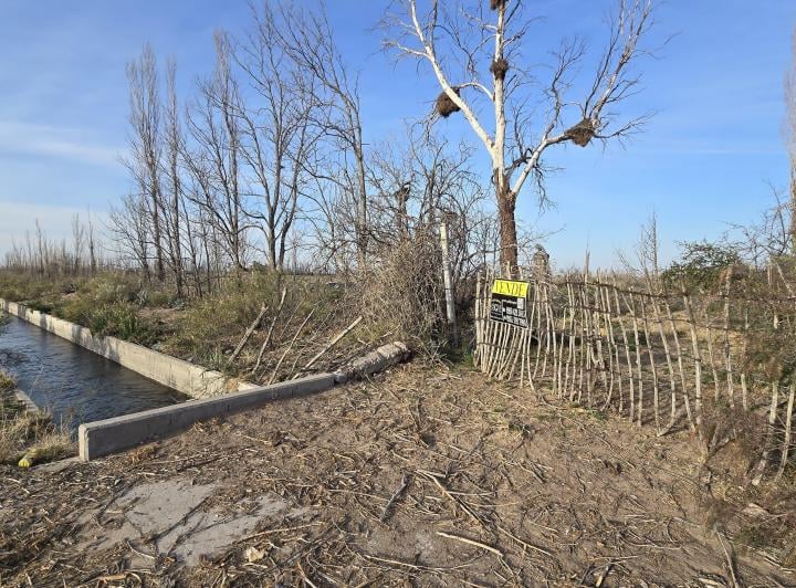 Campo · 1m²