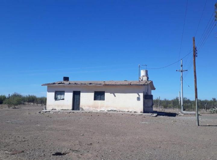 Campo · 785ha