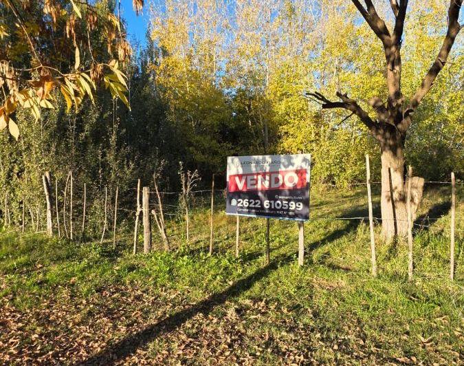 Campo · 23829m²