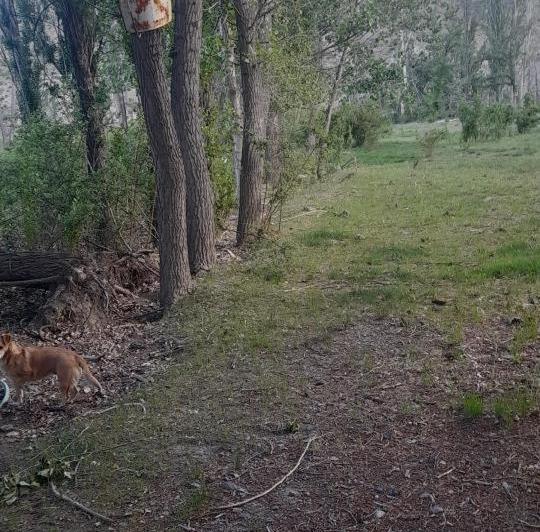 Terreno · 6500m²