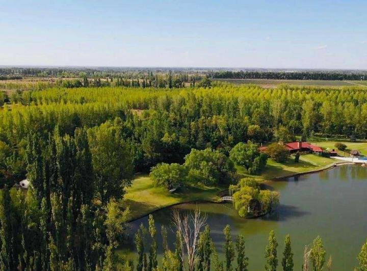 Campo · 651ha · 10 Ambientes
