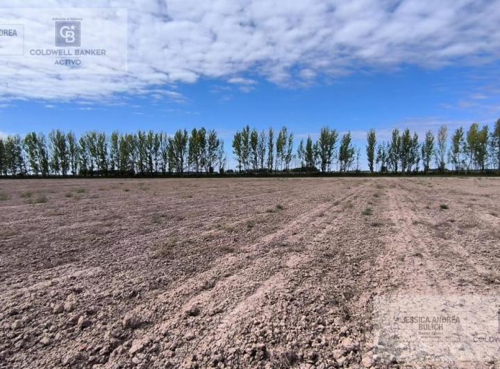 Campo · 59336m²