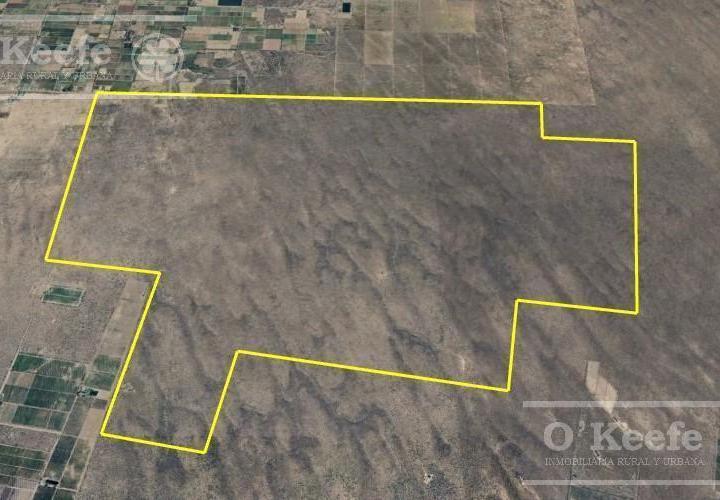 Campo · 27000000m²