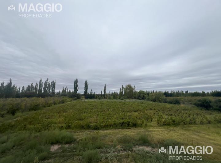 Bodega-Galpón · 380m² · 4 Ambientes