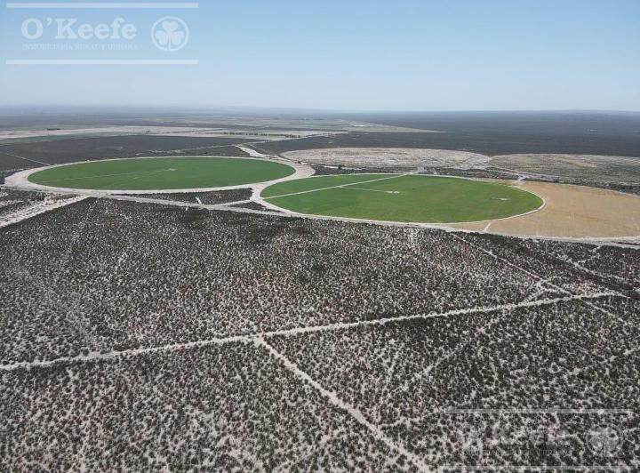 Campo · 1370000m²