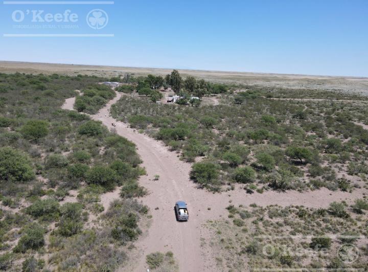 Campo · 150m² · 4 Ambientes
