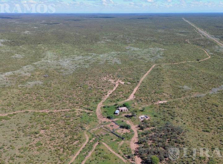 Campo · 145000000ha