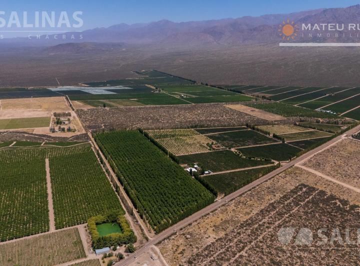Campo · 900000m²
