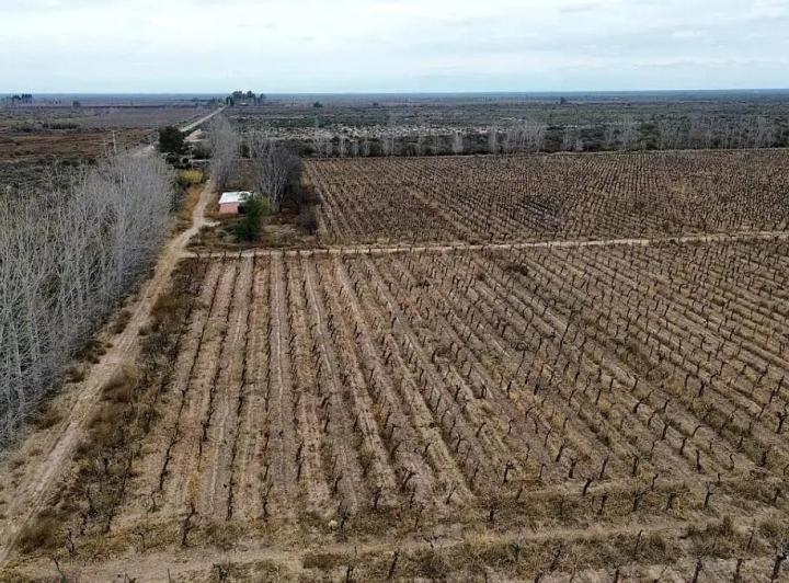 Campo · 100m² · 6 Dormitorios