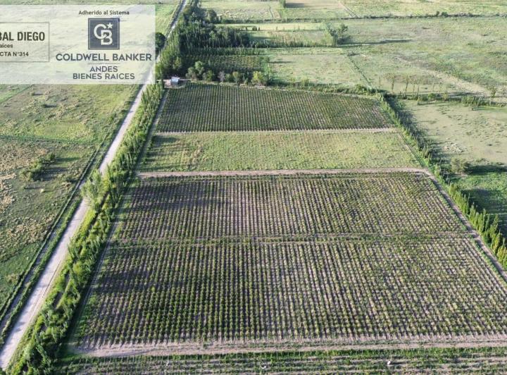 Campo · 100ha · 2 Ambientes · 1 Cochera