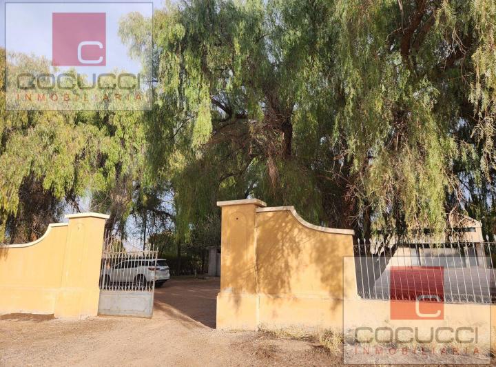Bodega-Galpón · 1500m²
