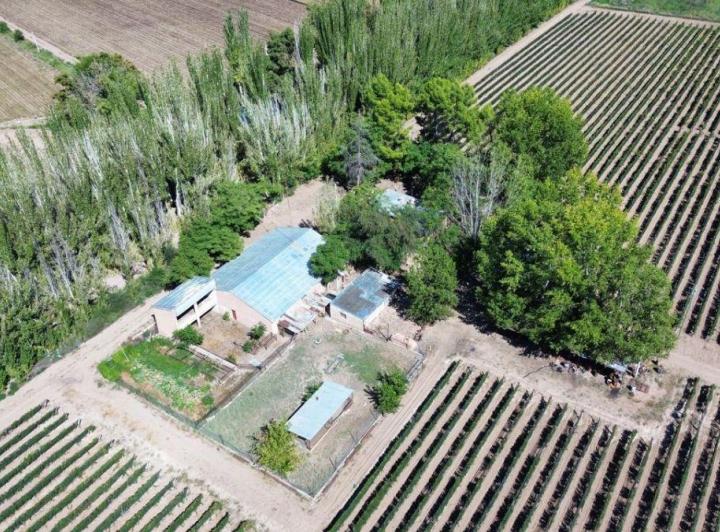 Campo · 13m²