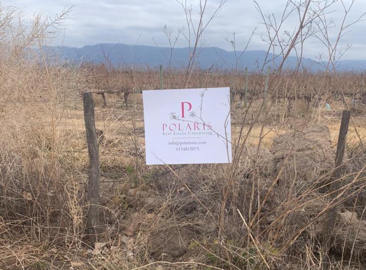 Campo · 850000m²