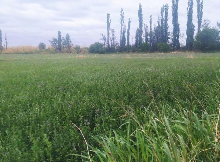 Campo · 10ha