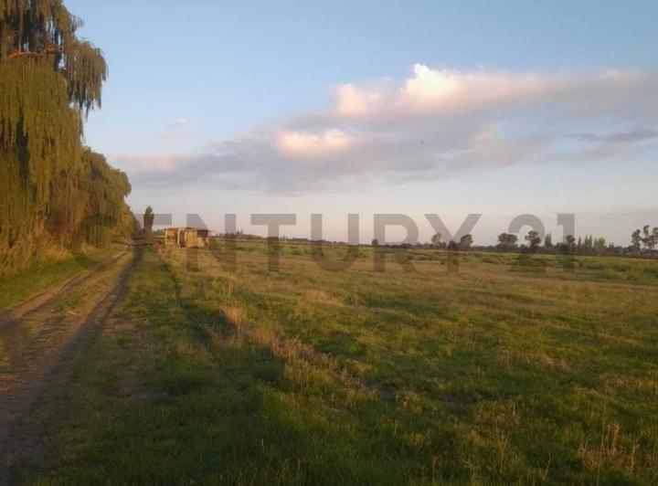 Terreno · 3000m²