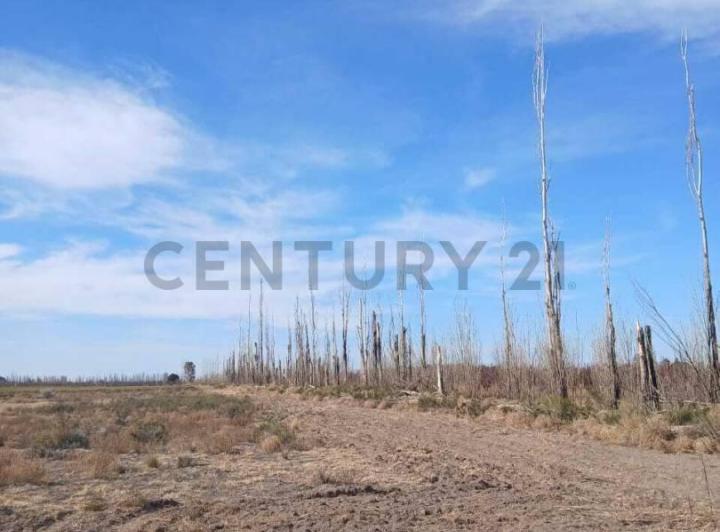 Terreno · 30000m²