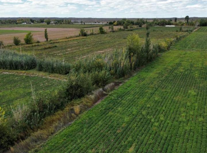 Campo · 170m²