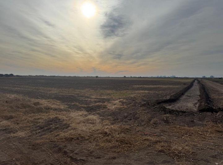 Campo · 25ha