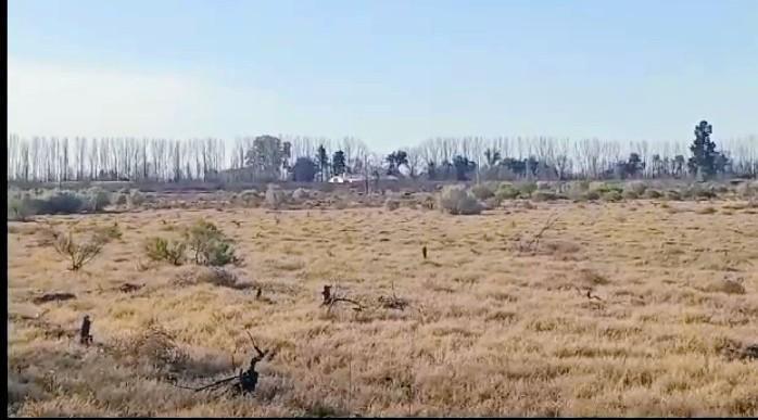 Terreno · 100ha