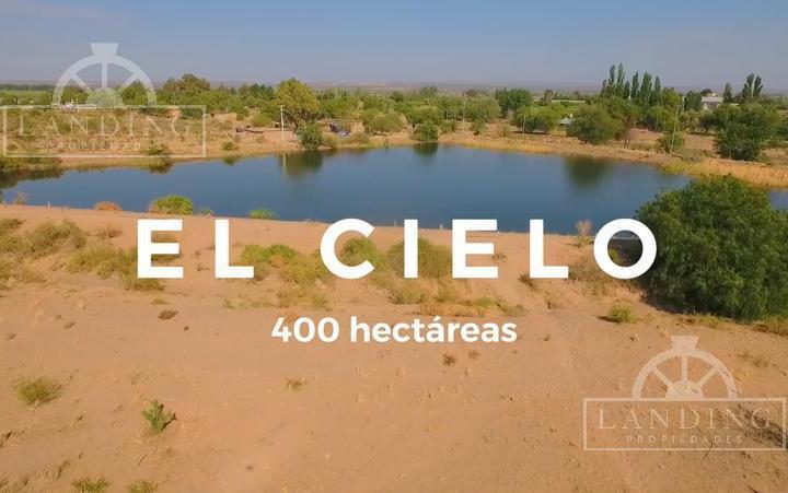 Campo · 25m² · 1 Ambiente