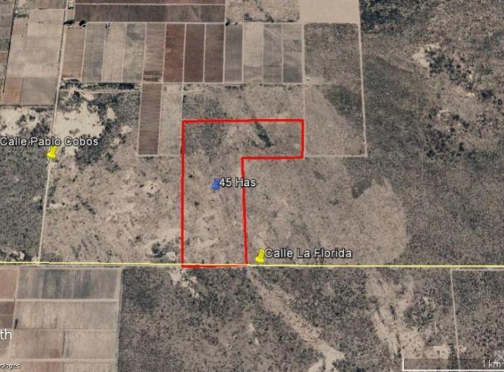 Campo · 4500000ha
