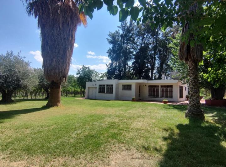 Campo · 300m²