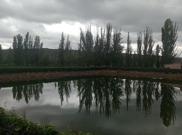 Campo · 100000m²