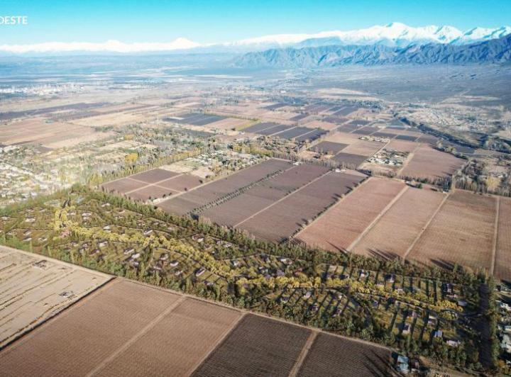 Terreno · 800m²