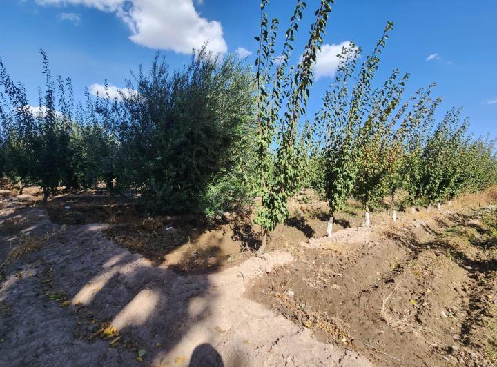 Campo · 25000m²