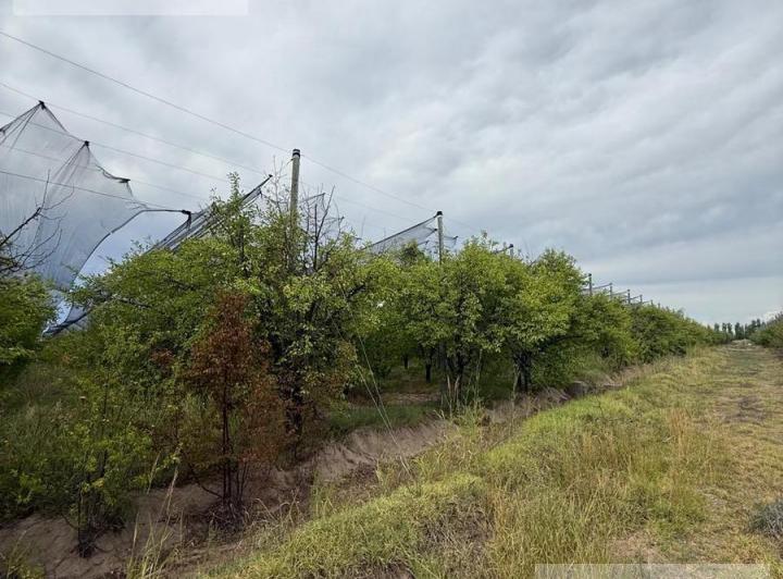 Terreno · 75000m²