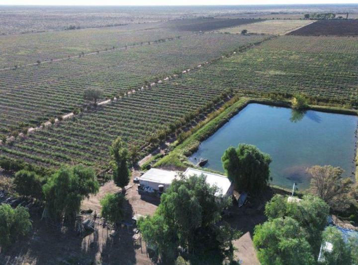 Campo · 43m²