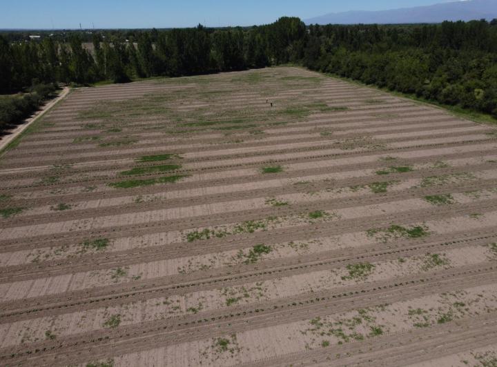 Terreno · 2000m²