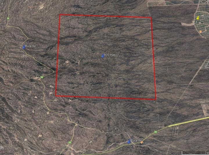 Campo · 800ha