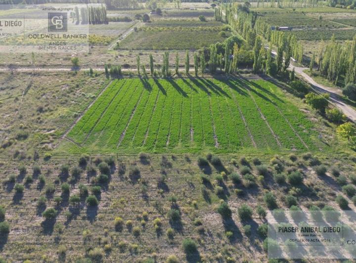 Campo · 72000m²