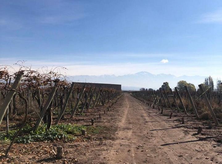 Campo · 10ha