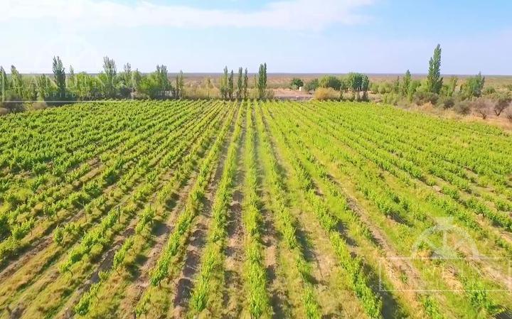 Campo · 5m² · 1 Ambiente