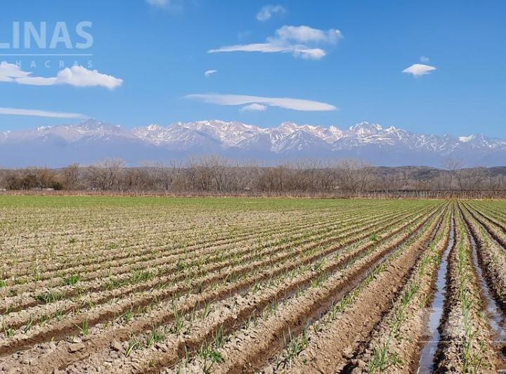 Campo · 280000m²