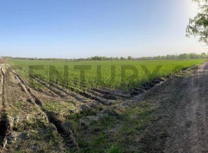 Campo · 120000m²