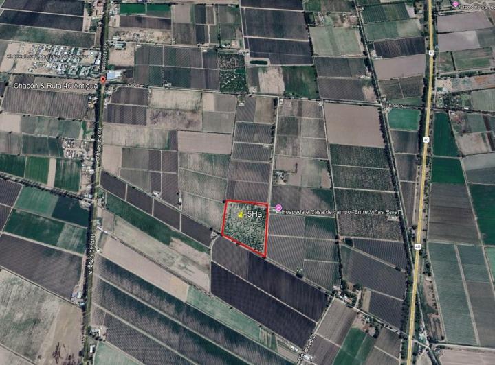 Campo · 50000m²