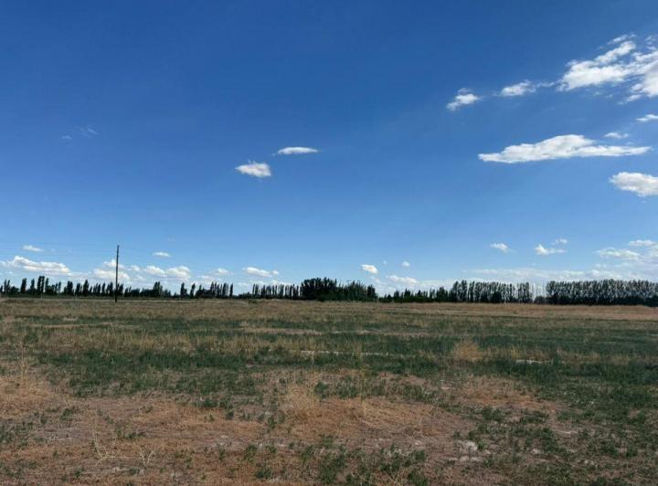 Campo · 9ha